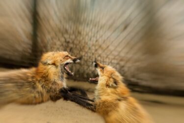 うまくいかないときは拗ねているとき！拗ねを辞めると大事にされるし愛される